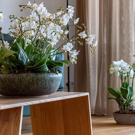 Apartementanlage Duenenblick Duenenblick Whg 17 * Graal-Mueritz